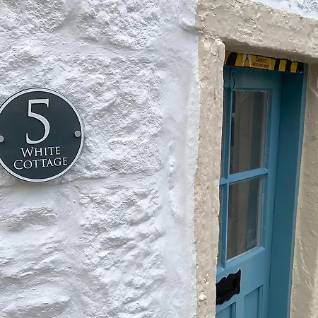 The White *